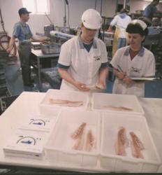 U.S. FDA Regulatory Assistance